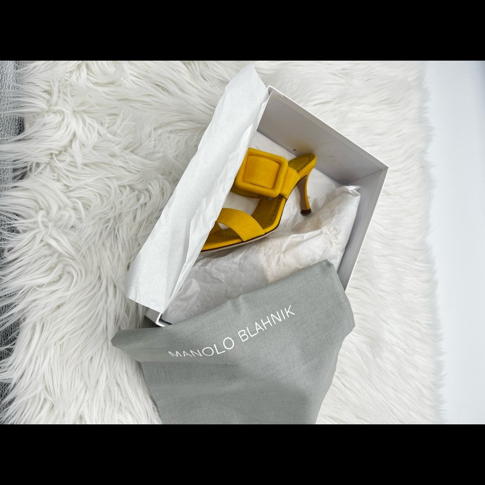 Manolo Blahnik | Gable Suede Buckle Mules - Picture 5 of 15
